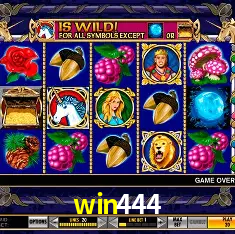 Descubra o Mundo do Cassino Online com win444